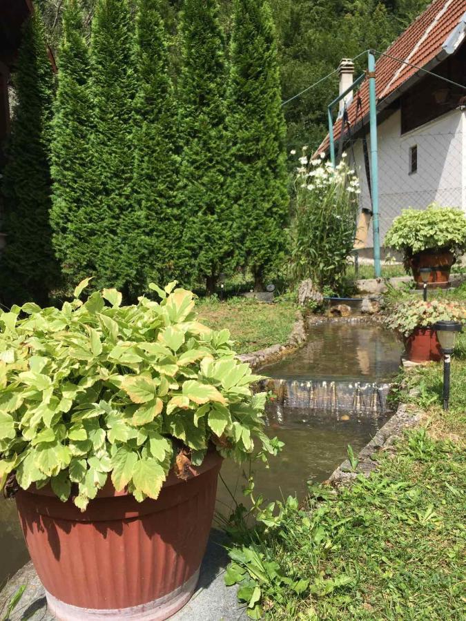 Domacinstvo Ubovic Villa Sipovo Bagian luar foto