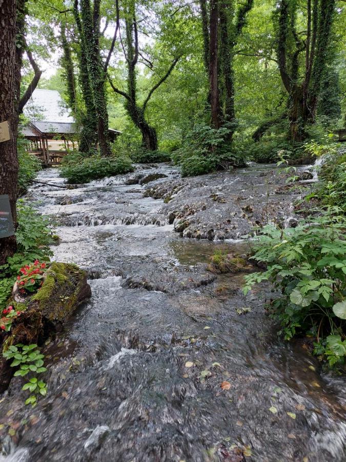 Domacinstvo Ubovic Villa Sipovo Bagian luar foto