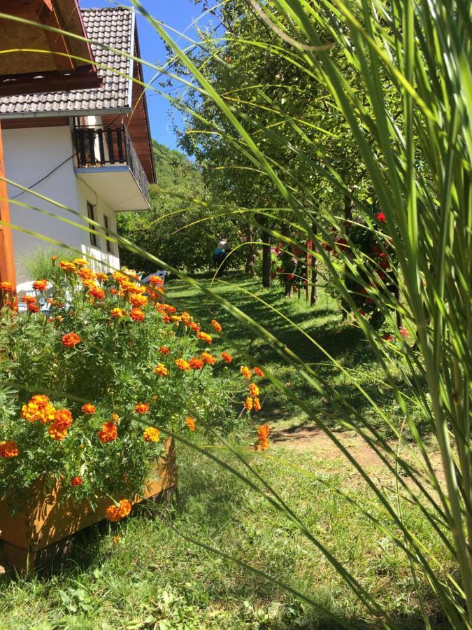 Domacinstvo Ubovic Villa Sipovo Bagian luar foto